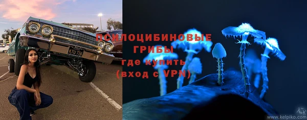 шишки Волоколамск