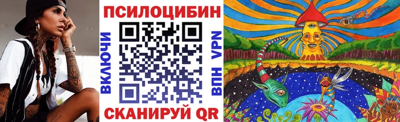 мега ссылки  сколько стоит  Сим  Галлюциногенные грибы Psilocybe 